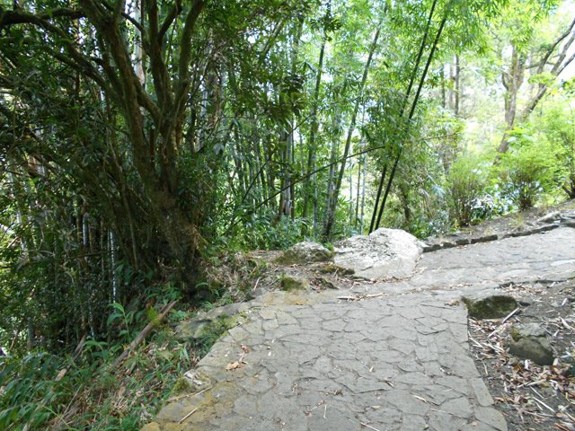 Sol plat recouvert de pierres plates