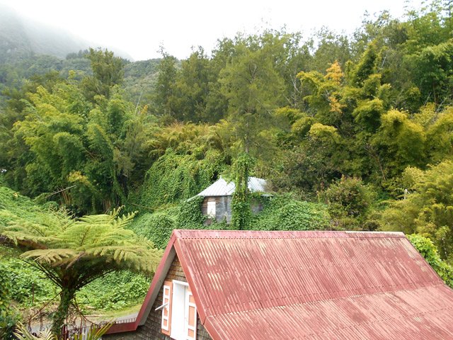 Les abords de la petite ravine du Bras d'Amale