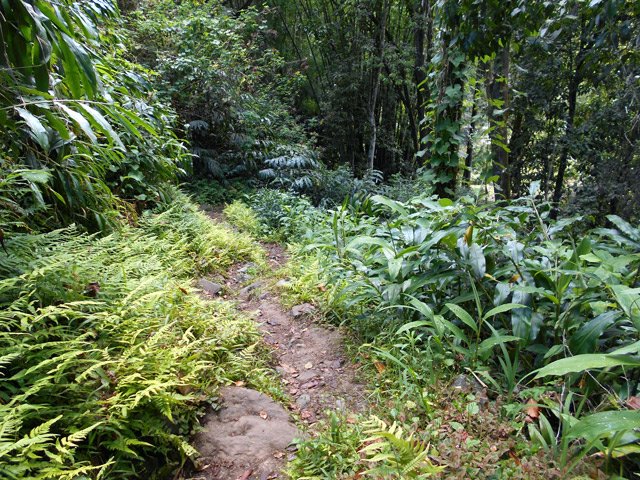 Le sentier vers le Bras Sec