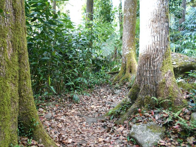 Agréable sentier quand il n'est pas trop pentu