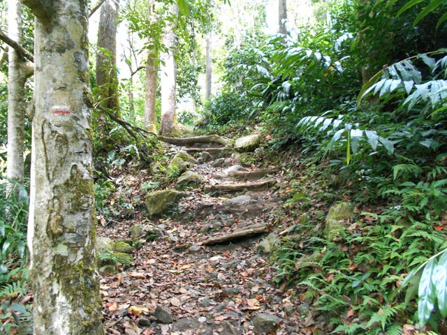 Les derniers mètres avant la ravine à sec