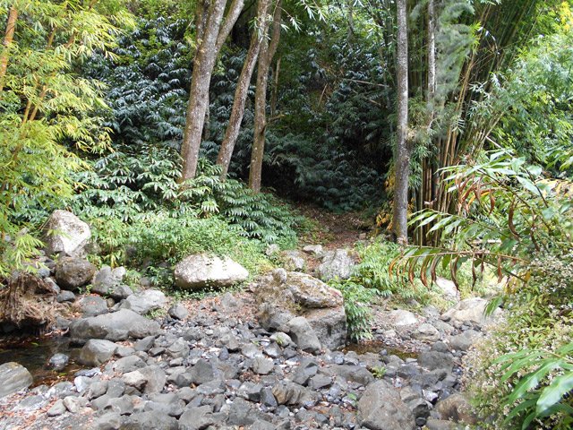 Traversée du Bras Sec avant de remonter vers les ruines