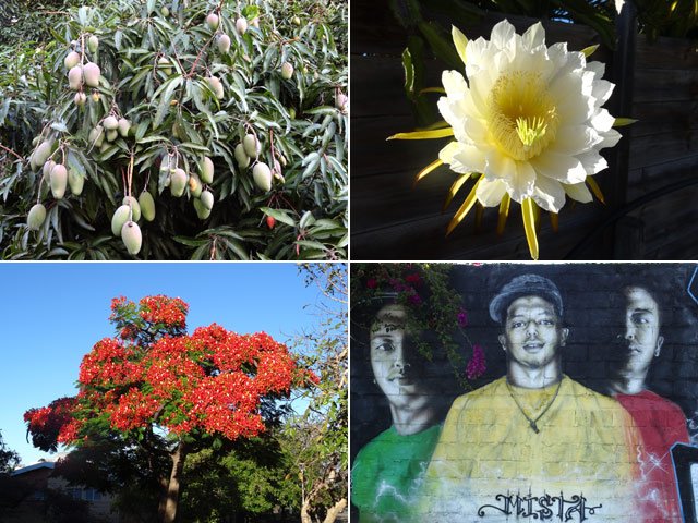 Boucle 1 : Quelques curiosités rencontrées sur la courte boucle