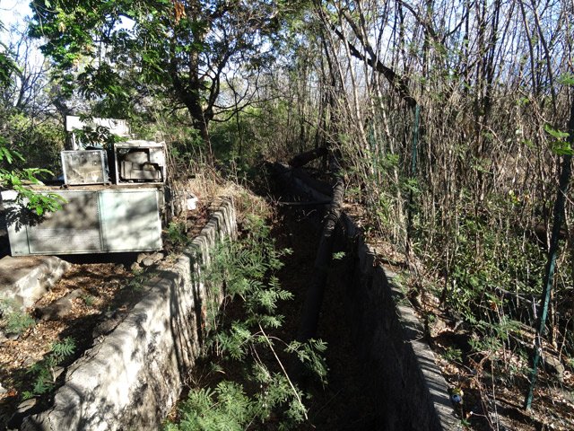 Transfert : le canal, très obstrué, à la Saga du Rhum de Frédéline