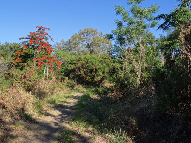 Boucle 2 : Sentier facile et agréable