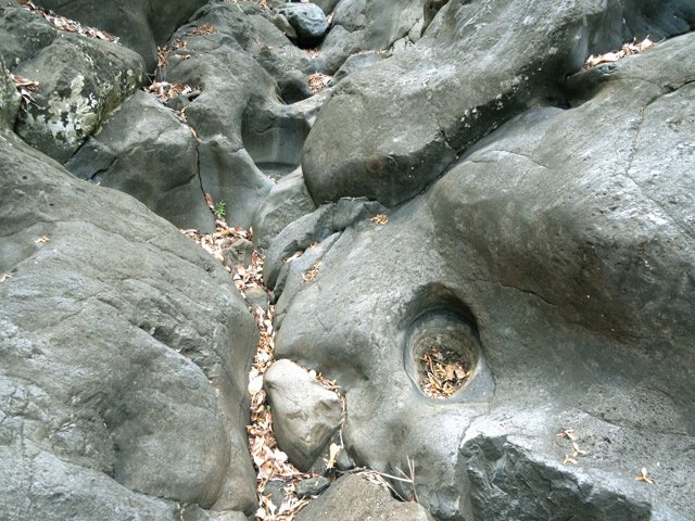 Le fond basaltique est creusé de marmites qui se remplissent de feuilles