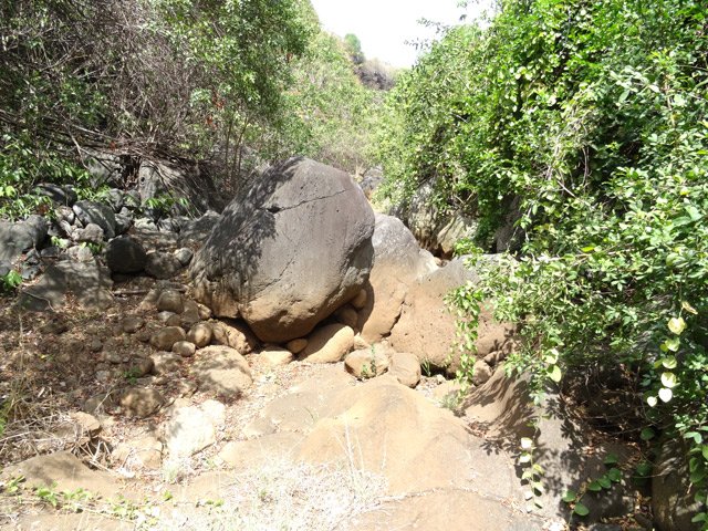 Le fond d'un bassin vide