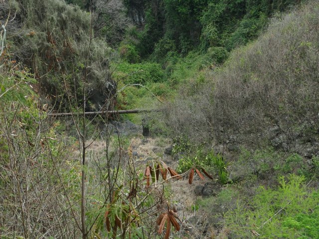 Le tuyau vu du canal