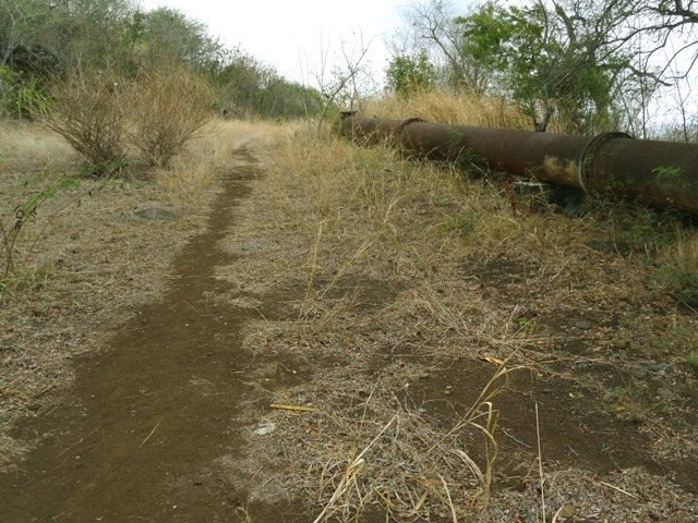 Le chemin aride qui mène au lycée