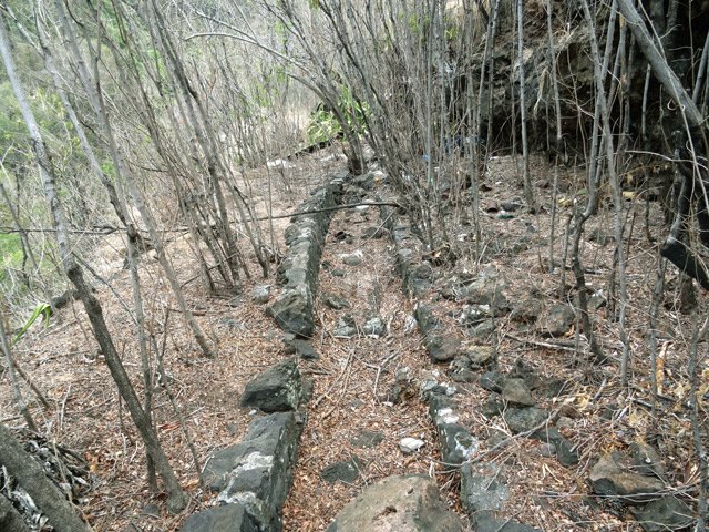 Quelques bribes de l'ancien canal en très mauvais état