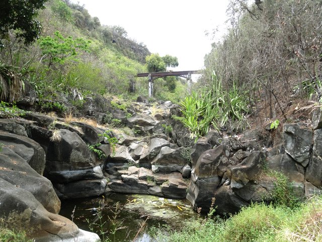 Arrivée à la Ravine la Plaine pour une première vue sur la passerelle