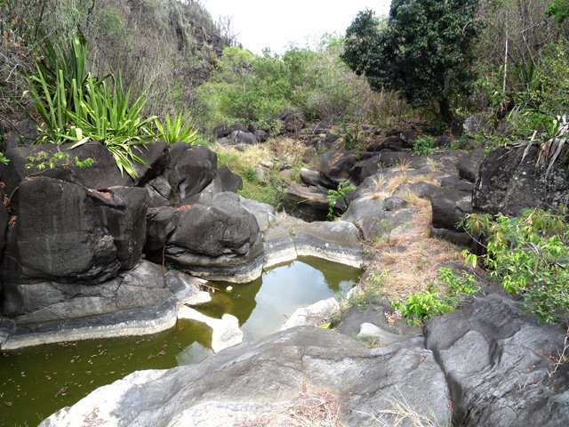Quelques bassins conservent une eau saumâtre jusqu'à la prochaine pluie