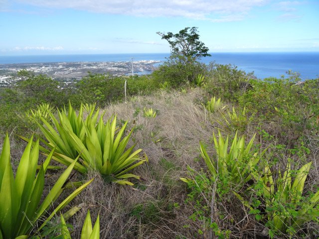 L'état du sentier en regardant vers le Port