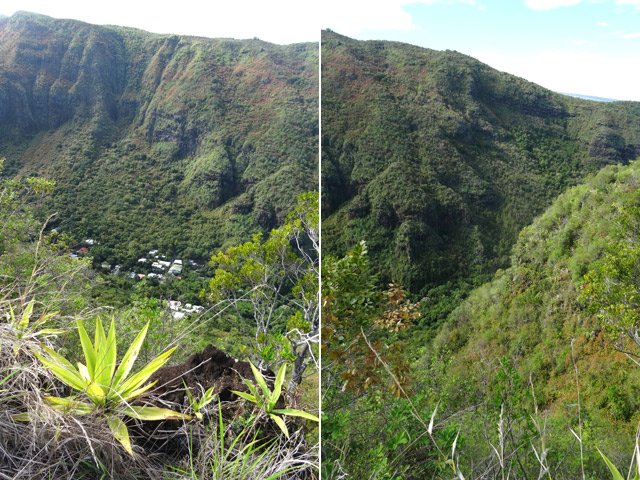 D'autres points de vue sur la Grande Ravine des Lataniers