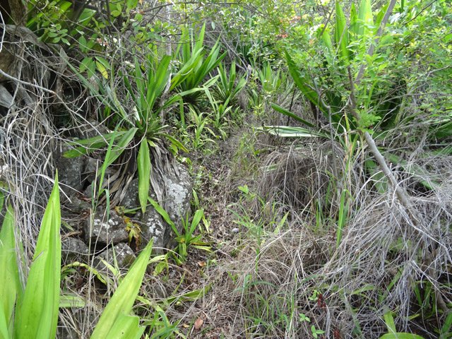 La trace reste visible durant toute la montée