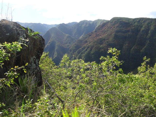 Superbes points de vue sur l'amont de la Grande Ravine des Lataniers