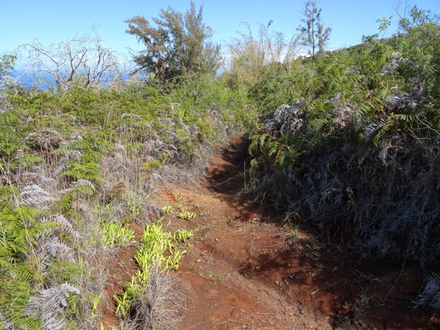 Aucun problème pour cette ancienne piste abandonnée