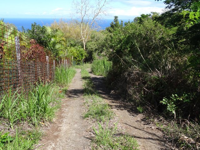 Dernière piste le long de cultures très protégées par de hautes clôtures