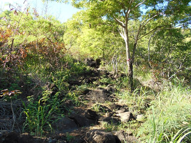 Début de la montée vers la crête dans les cailloux