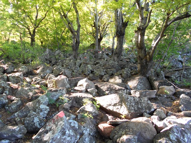 La montée est très raide et s'effectue sur des cailloux encore plus gros