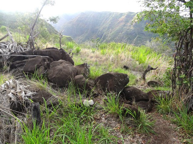 Arrivée en bord de rempart dominant les Lataniers