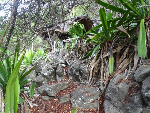 La cabane rustique proche d'un enclos débroussaillé ; il est temps de remonter