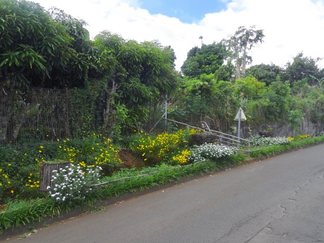 Le trottoir paysager sur la gauche en montant