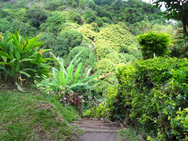 Agréable remontée dans la verdure et les plantations