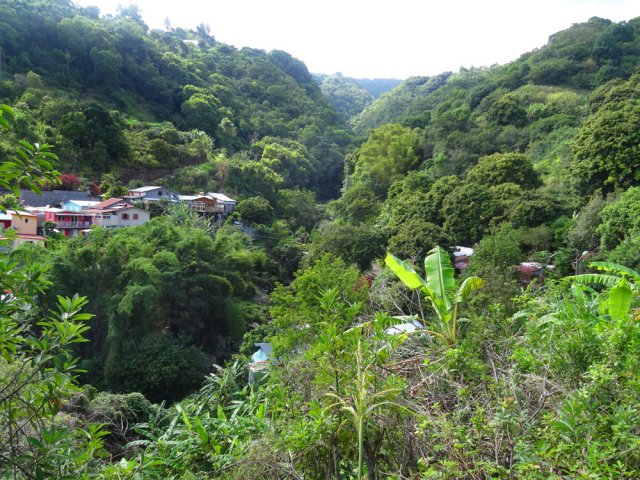 La Ravine Sèche vers l'amont