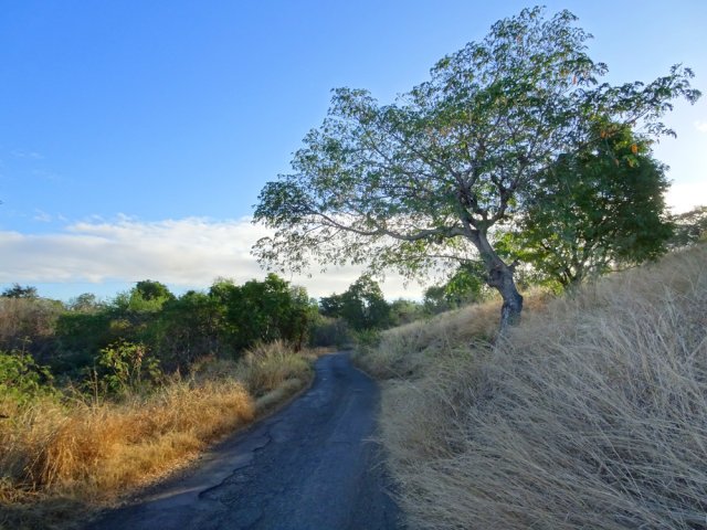 Vaste région de savanes laissées aux promoteurs