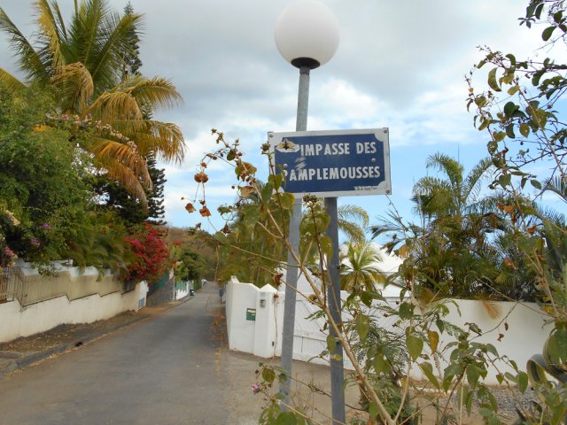 On retrouve les lotissements plus anciens à l'Impasse des Pamplemousses