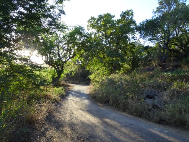 Prendre à droite à la Ravine Lolotte