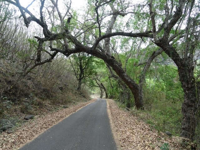 Le Chemin du Déboulé, agréable circuit malgré l'aridité des abords de la route
