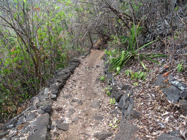 Le sentier de descente est très rarement aussi plat et aussi accessible