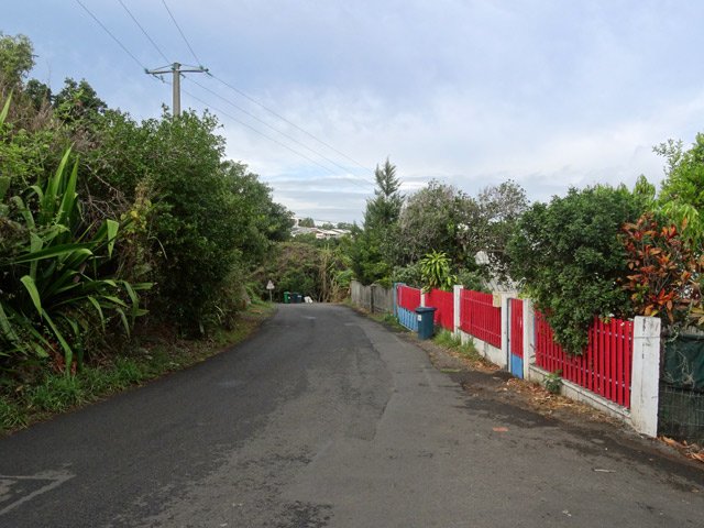 Une rue de Bois de Nèfles