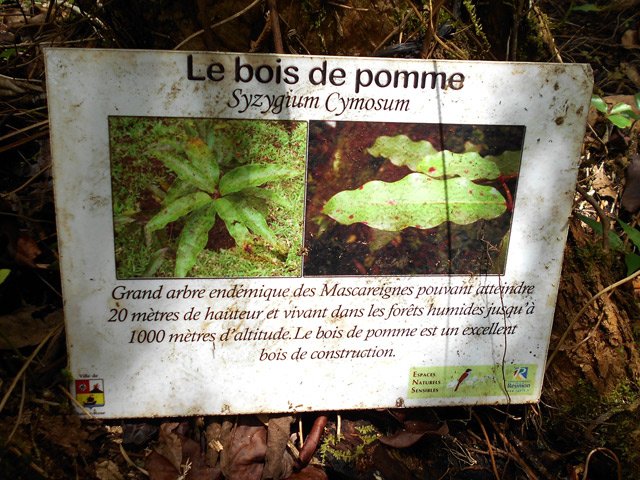 Quelques pancartes également vieillissantes jalonnent le parcours