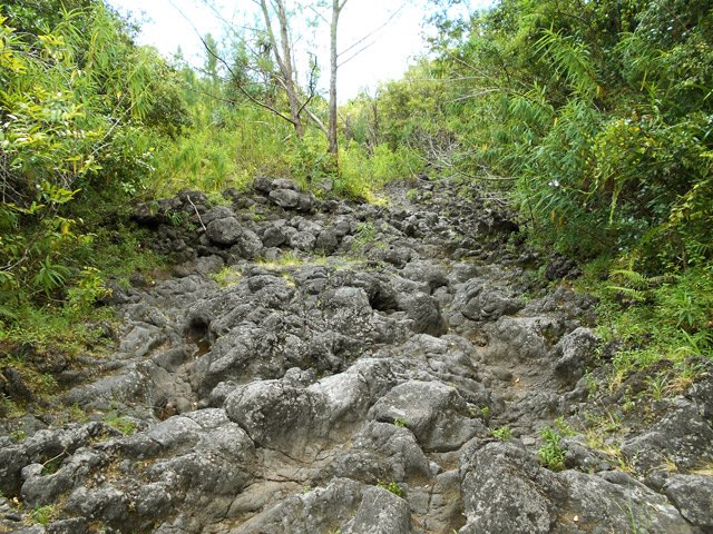 Traversée de la Ravine Ferdinand