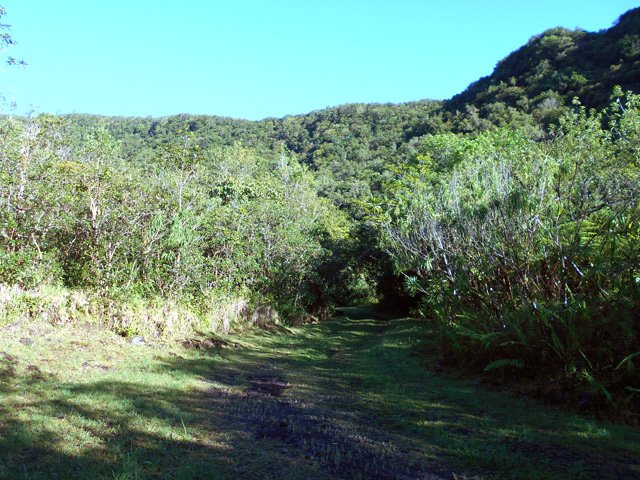 Plus haut, le béton est remplacé par une piste herbeuse