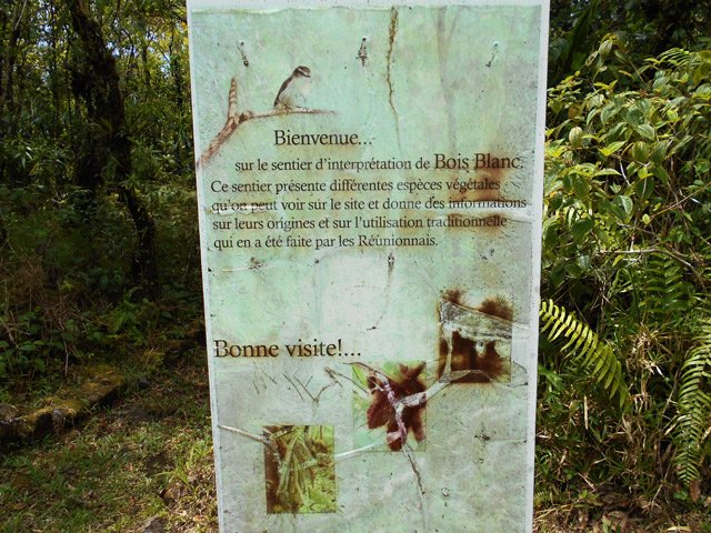 Pancarte vieillissante au départ du sentier