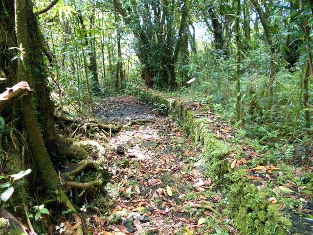 Quelques portions boueuses mais sur de courtes distances