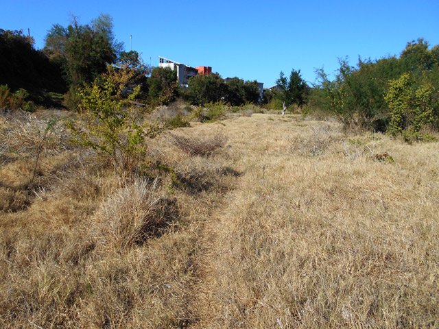 Un sentier formé par les multiples passages