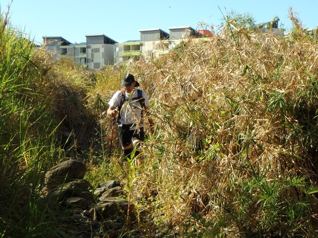 Seul passage de 10 mètres dans les papyrus où il faut repousser les plantes avec les mains