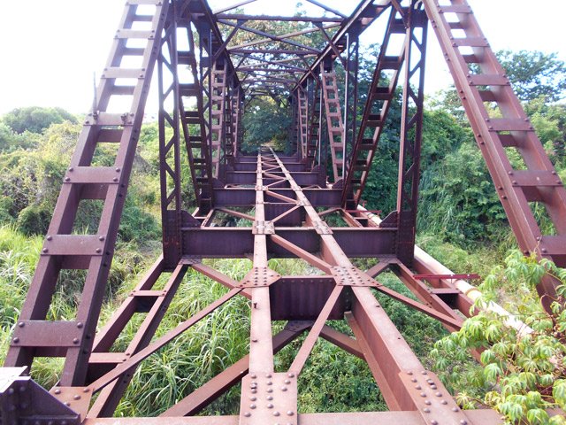 La passerelle métallique sans plancher tient encore bon