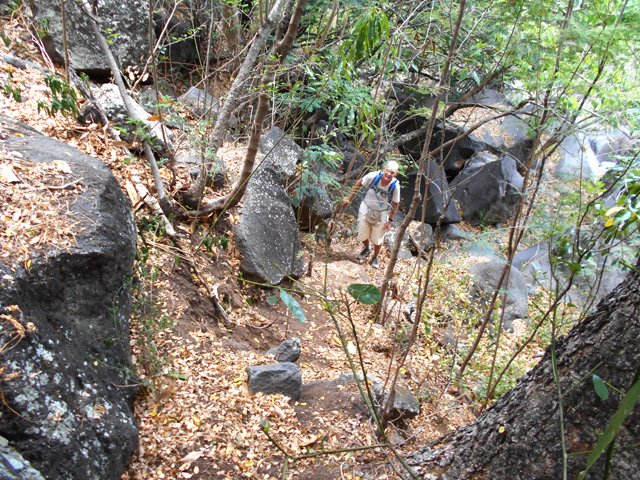 Les restes du sentier qui remonte vers le Bois de Nèfles Cadet