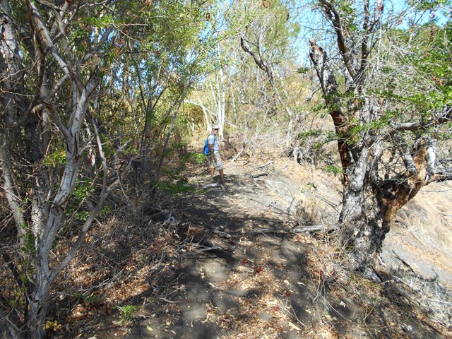 Début du hors sentier en bordure de ravine