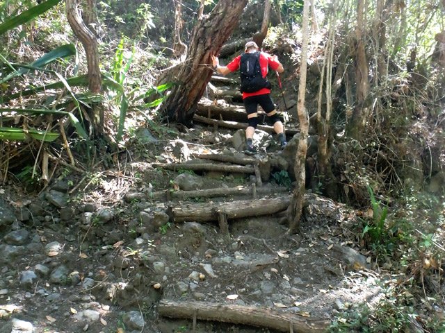 Fin de la boucle par une volée de marches en rondins