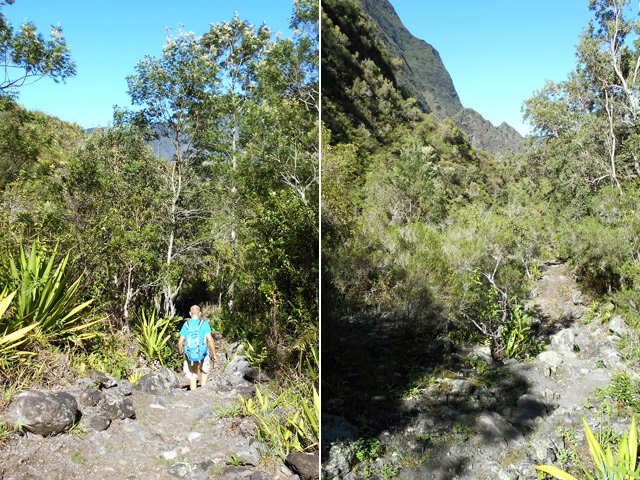 Fin de la descente vers la route de l'Îlet à Calebasse
