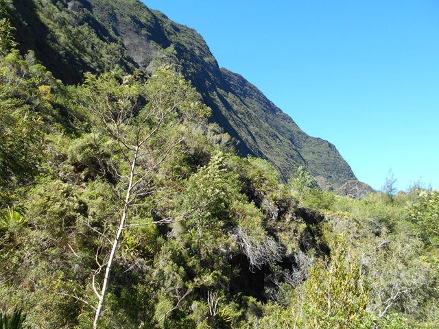 L'impressionnant rempart qui domine l'Îlet à Calebasse