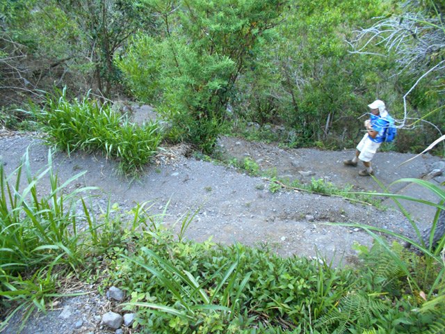 Forte descente en lacets à partir de la salle des fêtes