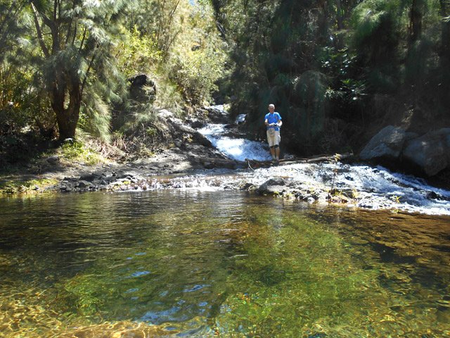 Franchissement de la Ravine des Calumets sur des troncs